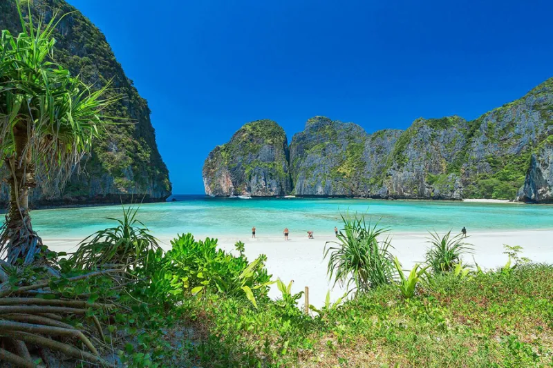 Phi Phi + Maya Bay + Bamboo Islands Tour by Speed Boat